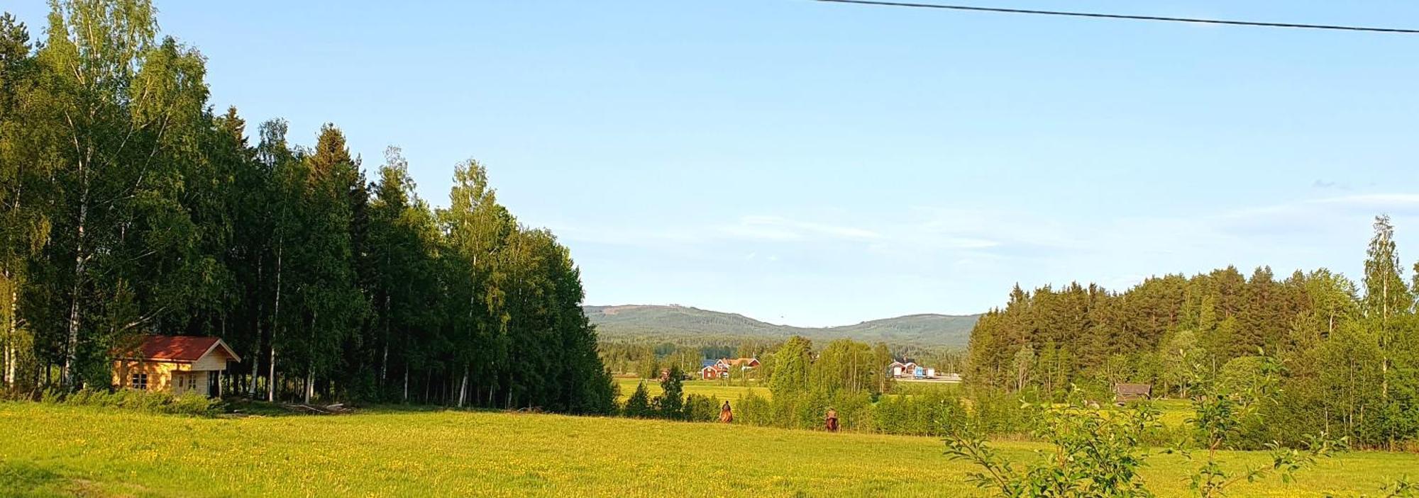 Skalbo Gardsglamping Hotell Järvsö Exteriör bild